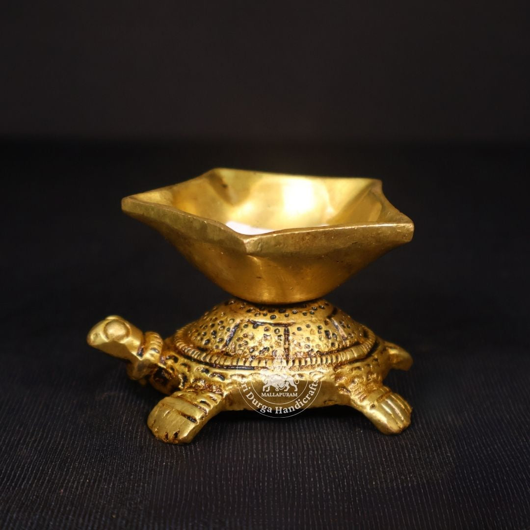 2" Inch Brass Five Face Tortoise Deep