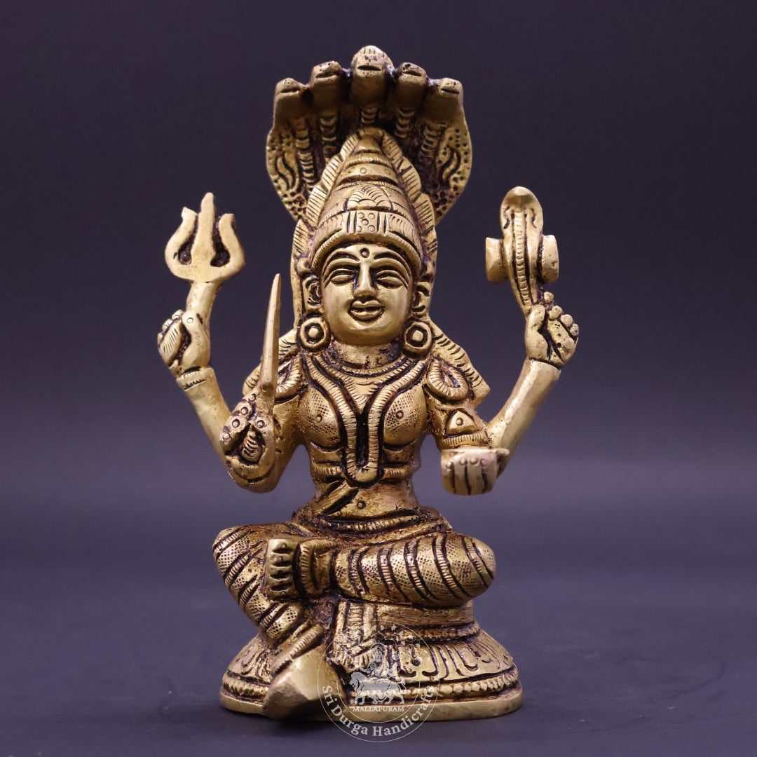 6" Inch Brass Karumari Amman