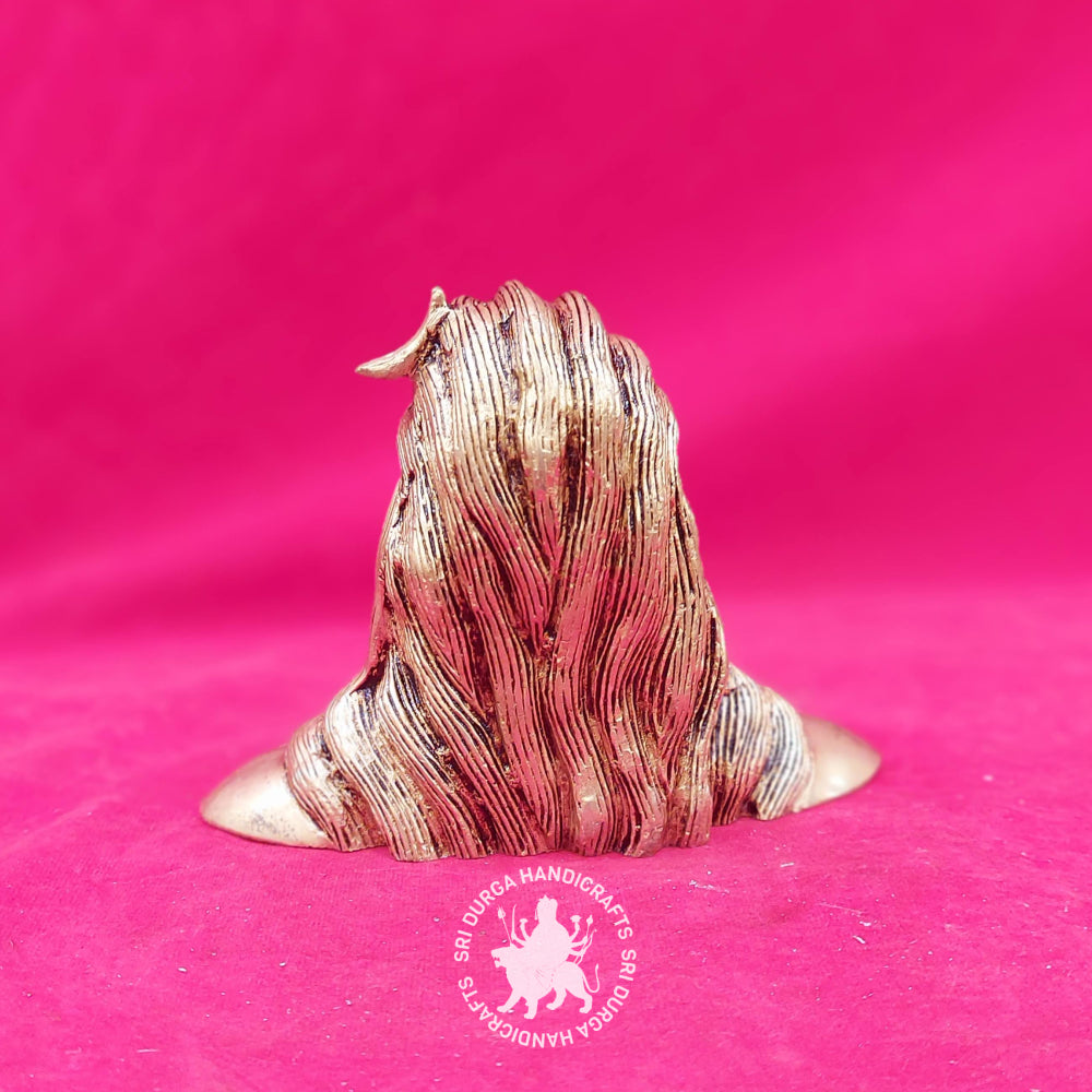 4" Inch Brass Adi Yogi S/F Idol