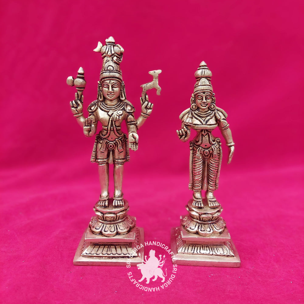 9" Inch Meenakshi Sundareswaran Brass Idol