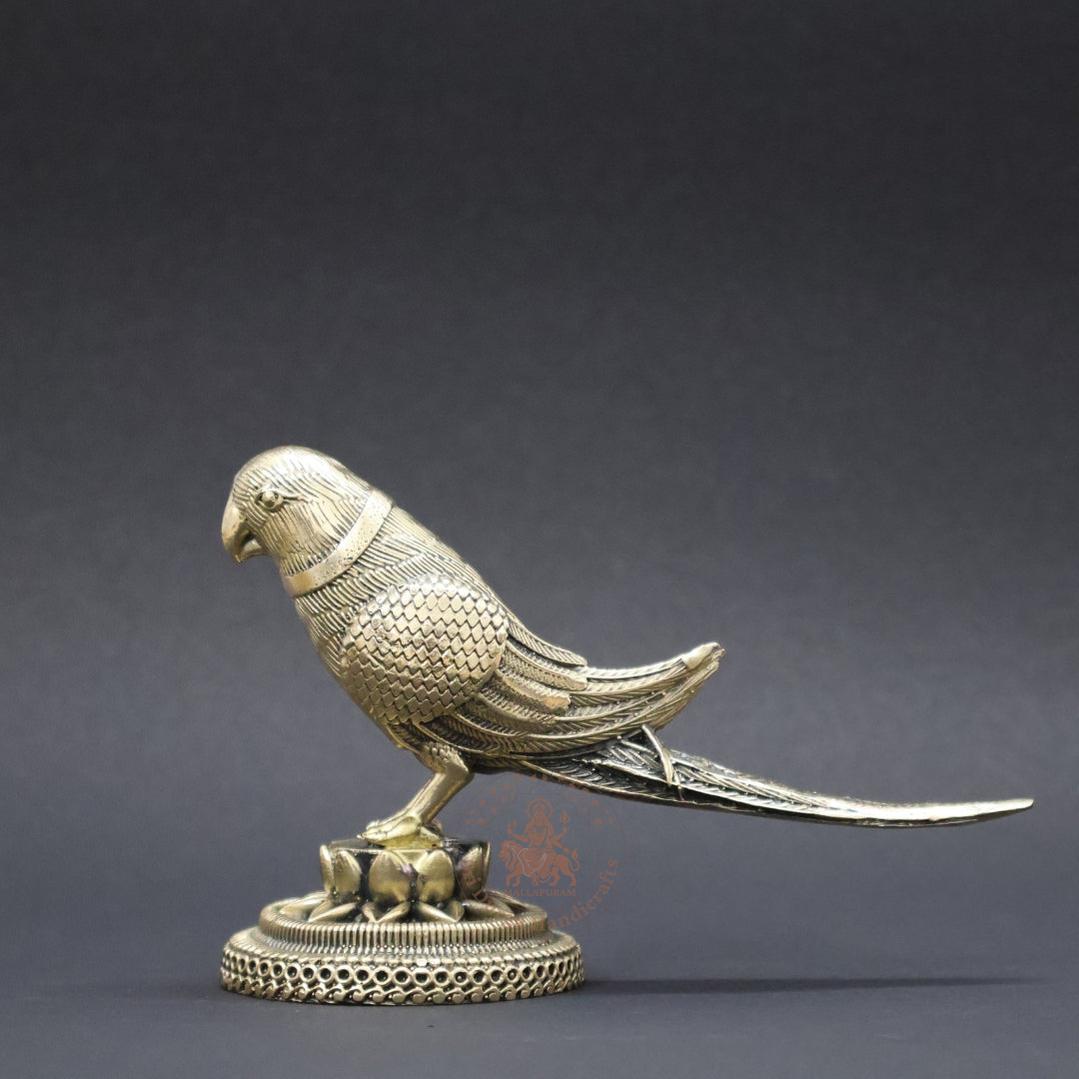 Parrot