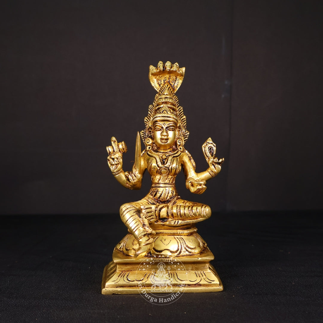 6" Inch Brass Karumari Amman Idol