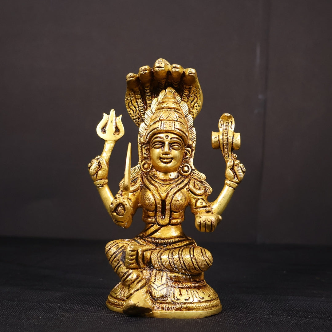6" Inch Brass Karumari Amman