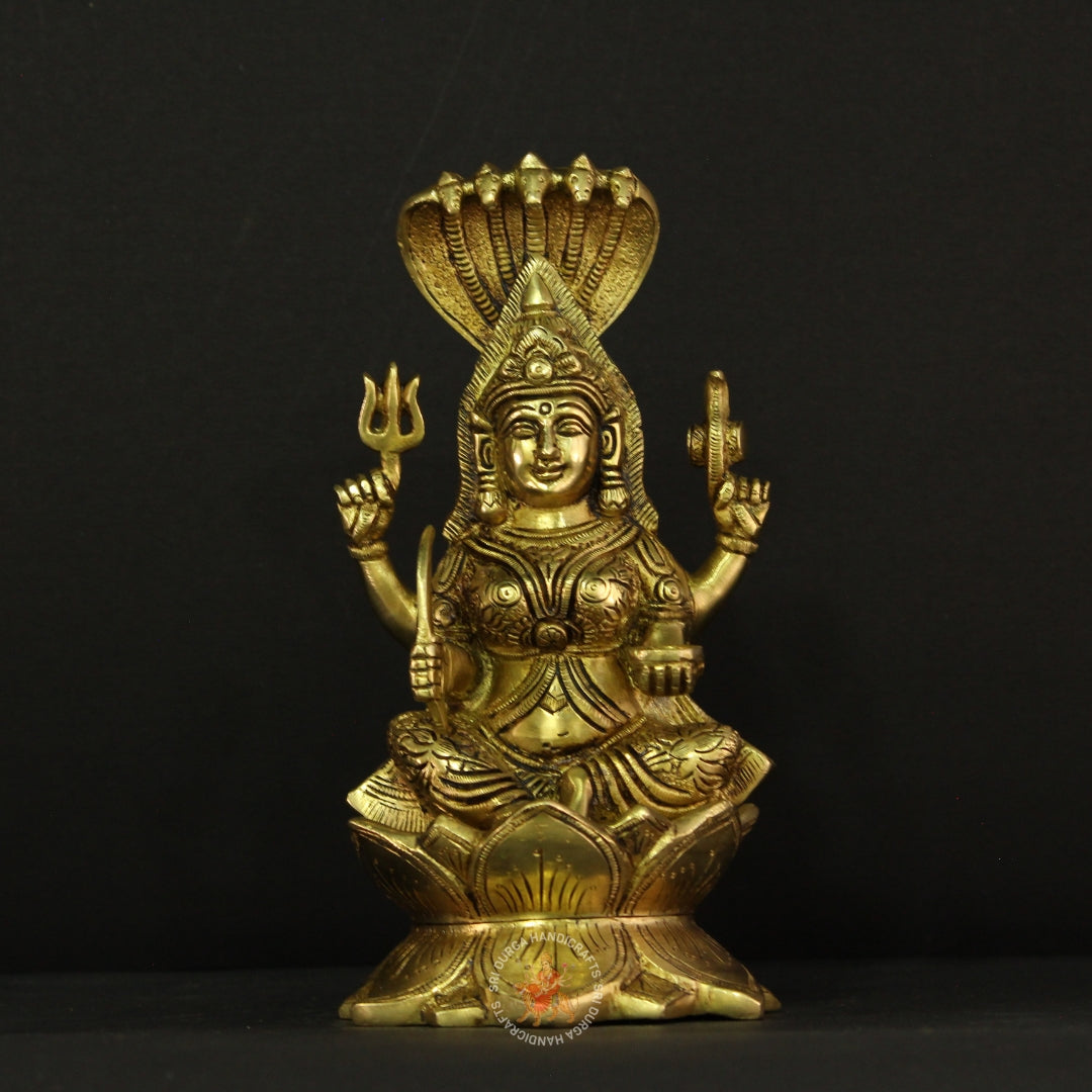 Graceful Karumari Amman Idol