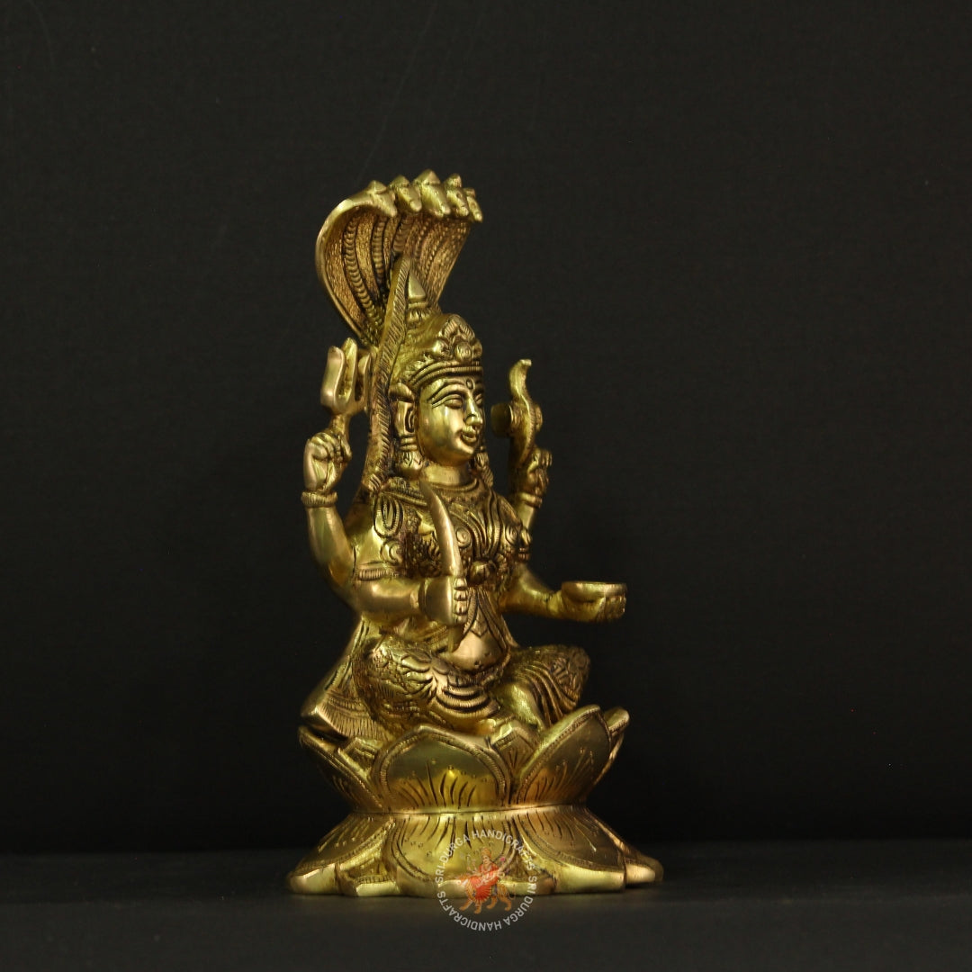 Graceful Karumari Amman Idol