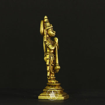 Devotee’s Hanuman Idol